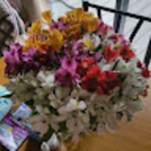 Meet your Posher, Joanna